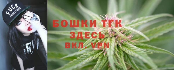первитин Горняк